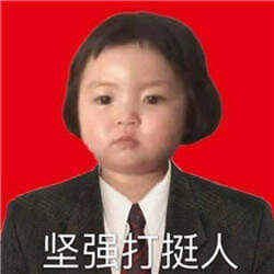 双11打挺人表情包