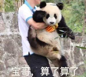 算了算了表情包