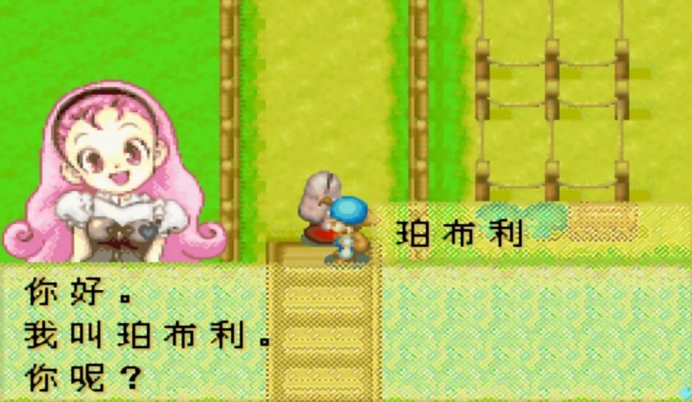 牧场物语矿石镇的伙伴们金手指版