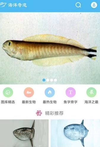 寻海