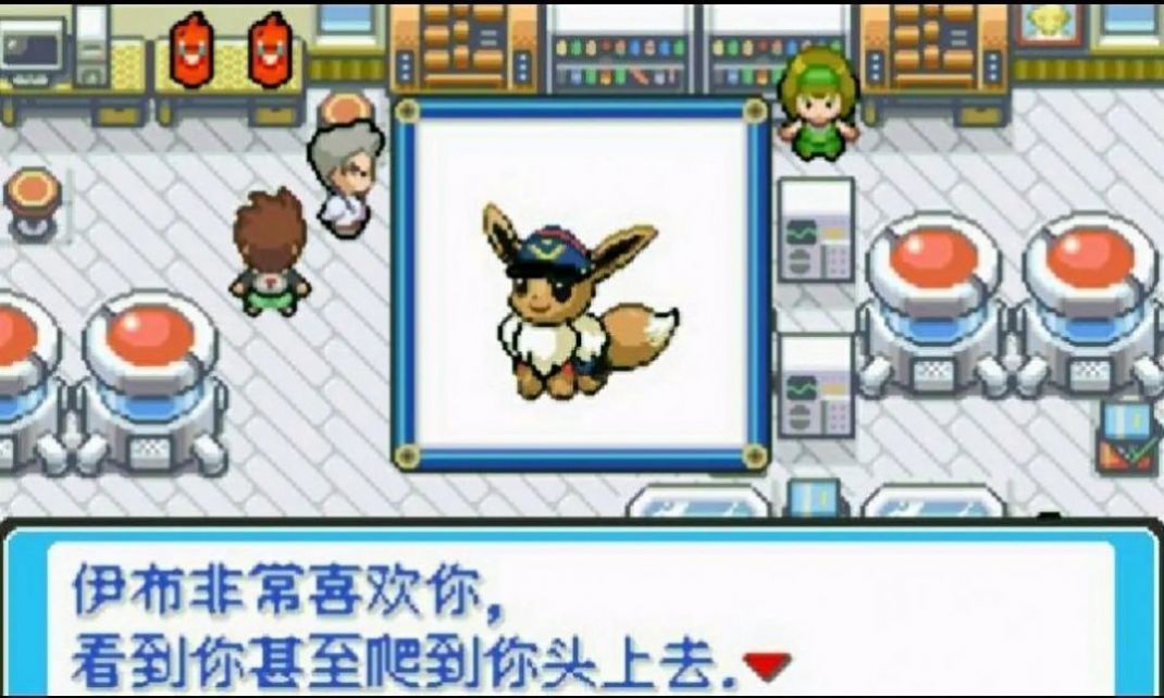 口袋妖怪绿宝石随机版