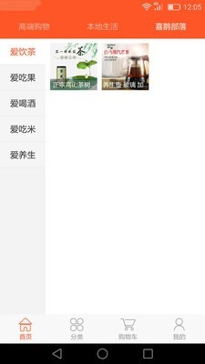 两只喜鹊