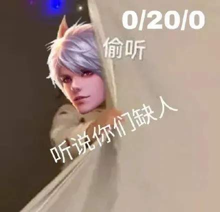 王者荣耀听说你们缺人表情包