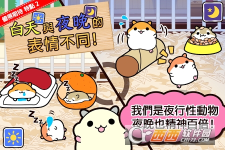 仓鼠收集