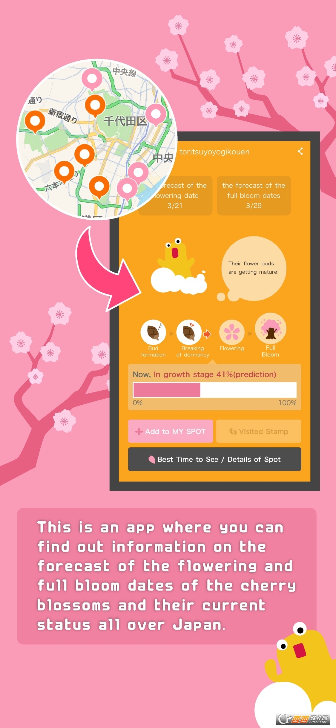 Sakura Navi