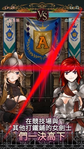 女剑式的秘密日记