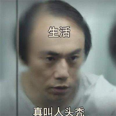 隐蔽的角落秦昊秃顶恶搞带字表情包