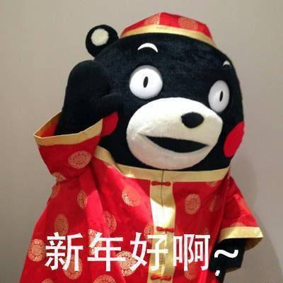猪年拜年表情包