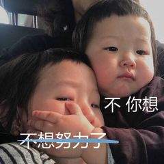 姐姐我不想努力了表情包
