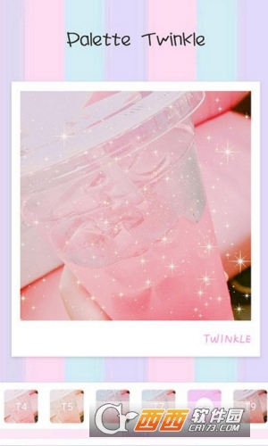 Palette Twinkle相机