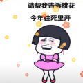 请帮我告诉桃花今年往死里开图片表情包