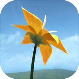 Flower花