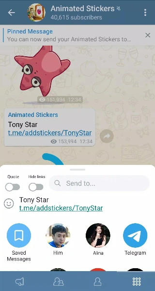 bestgram中文安装包