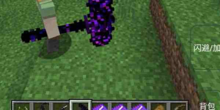 烦人的村民6.5手机版