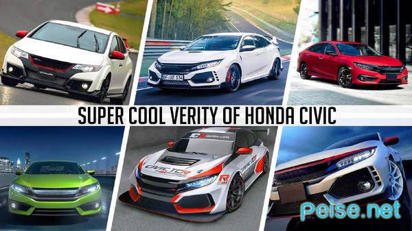 思域模拟器中文版