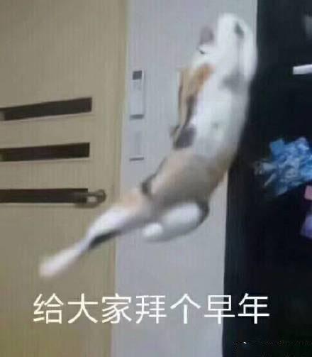 猪年拜年表情包