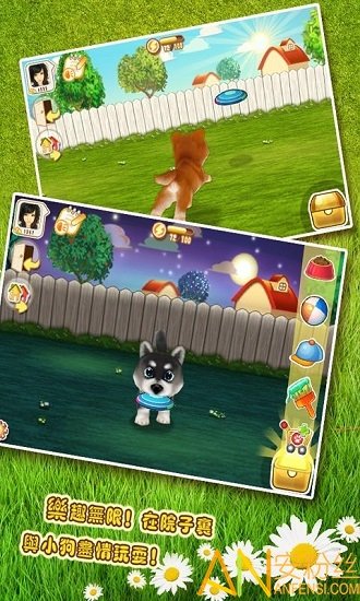 晴天小狗官方版