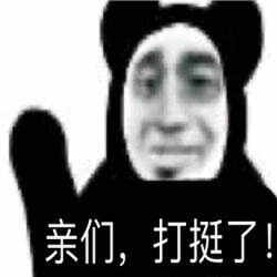 双11打挺人表情包