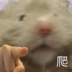 哈士奇指人表情包