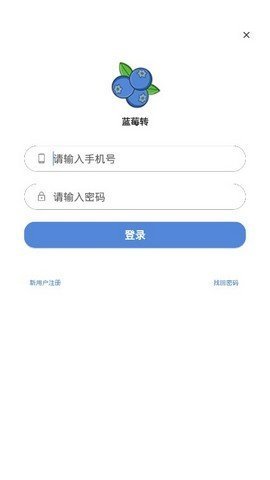 蓝莓转