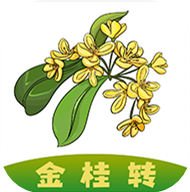 金桂赚