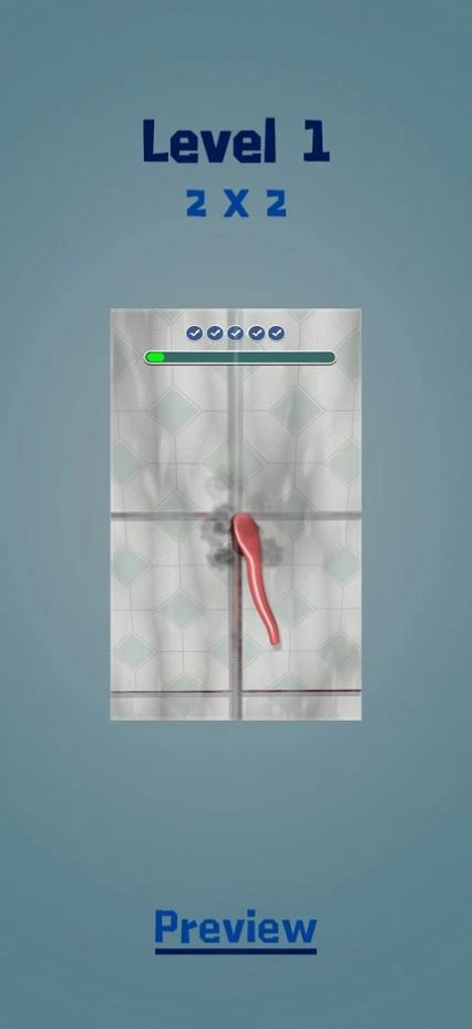 美丽的接缝正版