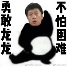 勇敢龙龙不怕困难表情包
