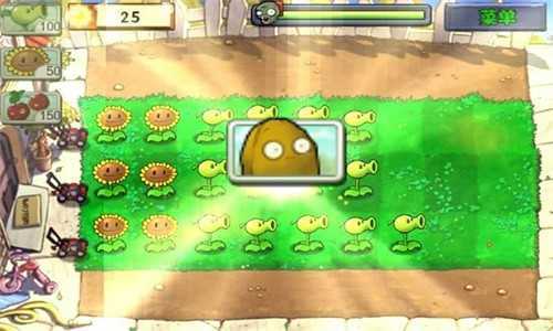 植物大战沙威玛