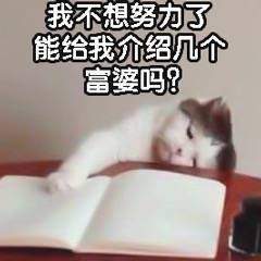 姐姐我不想努力了表情包