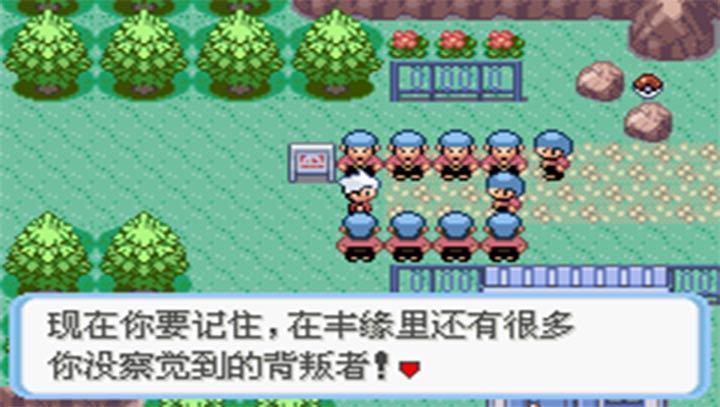 口袋妖怪蛇纹木悟饭版