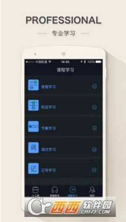 练耳大师