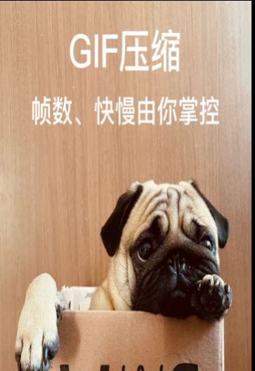 图片照片压缩专家