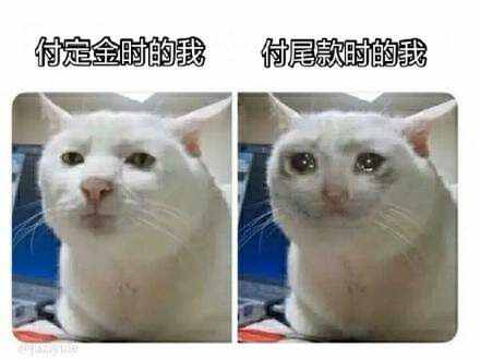 尾款人表情包