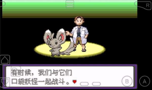 口袋妖怪漆黑的魅影5.0正版