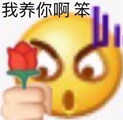 孙一宁王思聪表情包