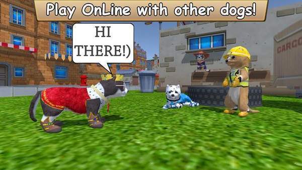 美国Zoom与动物Zoom