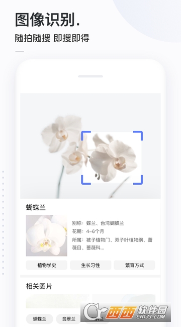 简单搜索