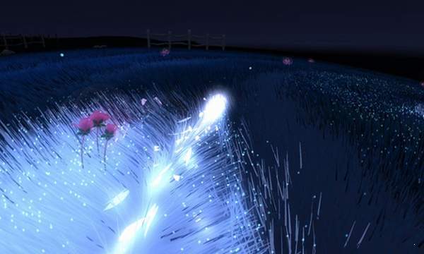 Flower花