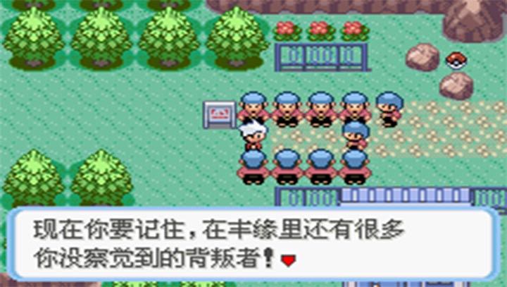 口袋妖怪蛇纹木悟饭版