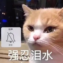 蚌埠住了表情包