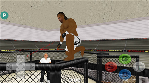 摔跤战士汉化版