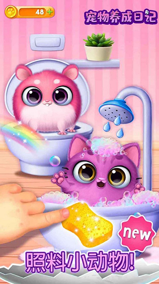 宠物狗狗养成日记