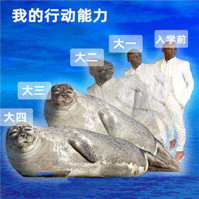 当代大学生进化史表情包