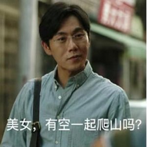 隐秘的角落张东升表情包