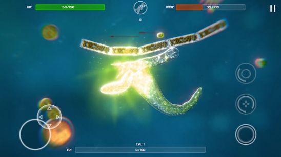 生物孢子的开始最新版