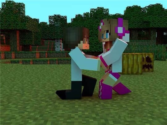 我的世界魔法森林