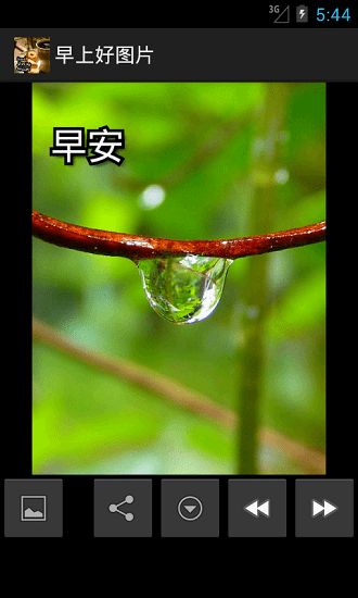 早上好图片手机版