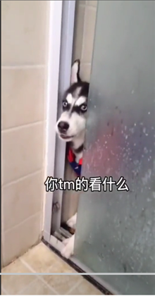 微信状态背景视频素材