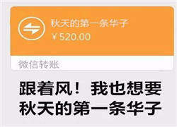 秋天的奶茶系列表情包