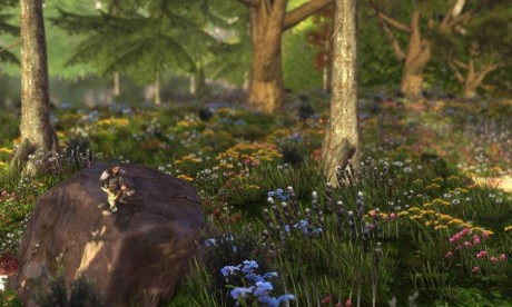 流浪荒野中文版